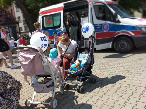 Zdjęcie - 